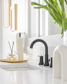 An image of a bathroom with a black faucet and a plant made by custom home builder langley in Langley, BC