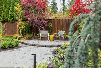 A backyard garden with two gray chairs on a stone patio, surrounded by red maple trees and tall evergreen trees.