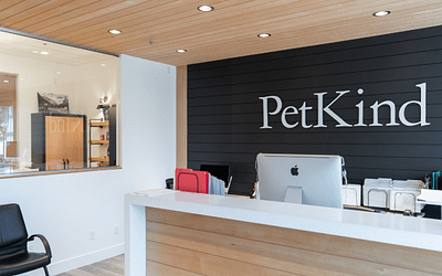 Navigating Commercial Tenant Improvements in Langley: A Step-by-Step Guide